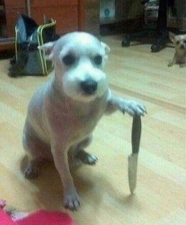 Foto do usuário