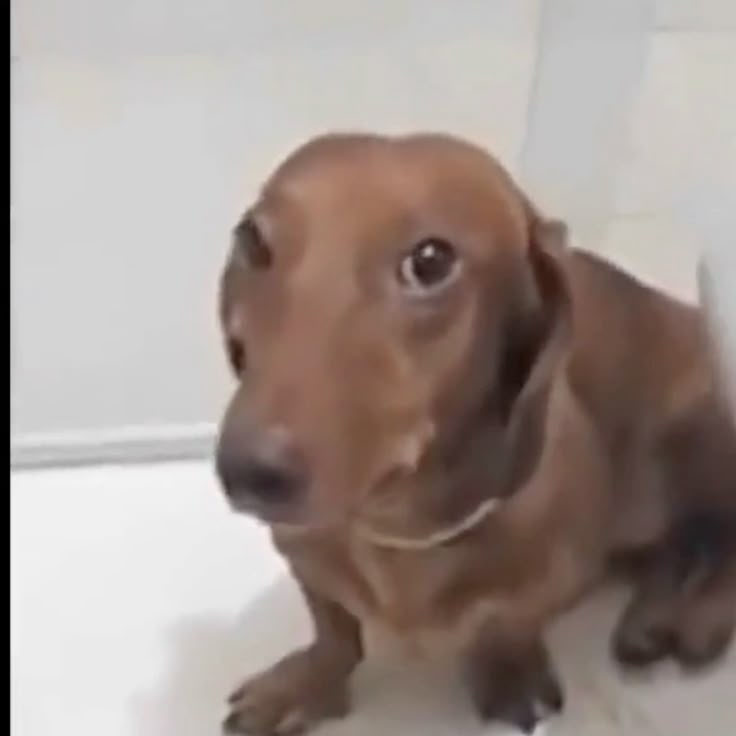 Foto do usuário