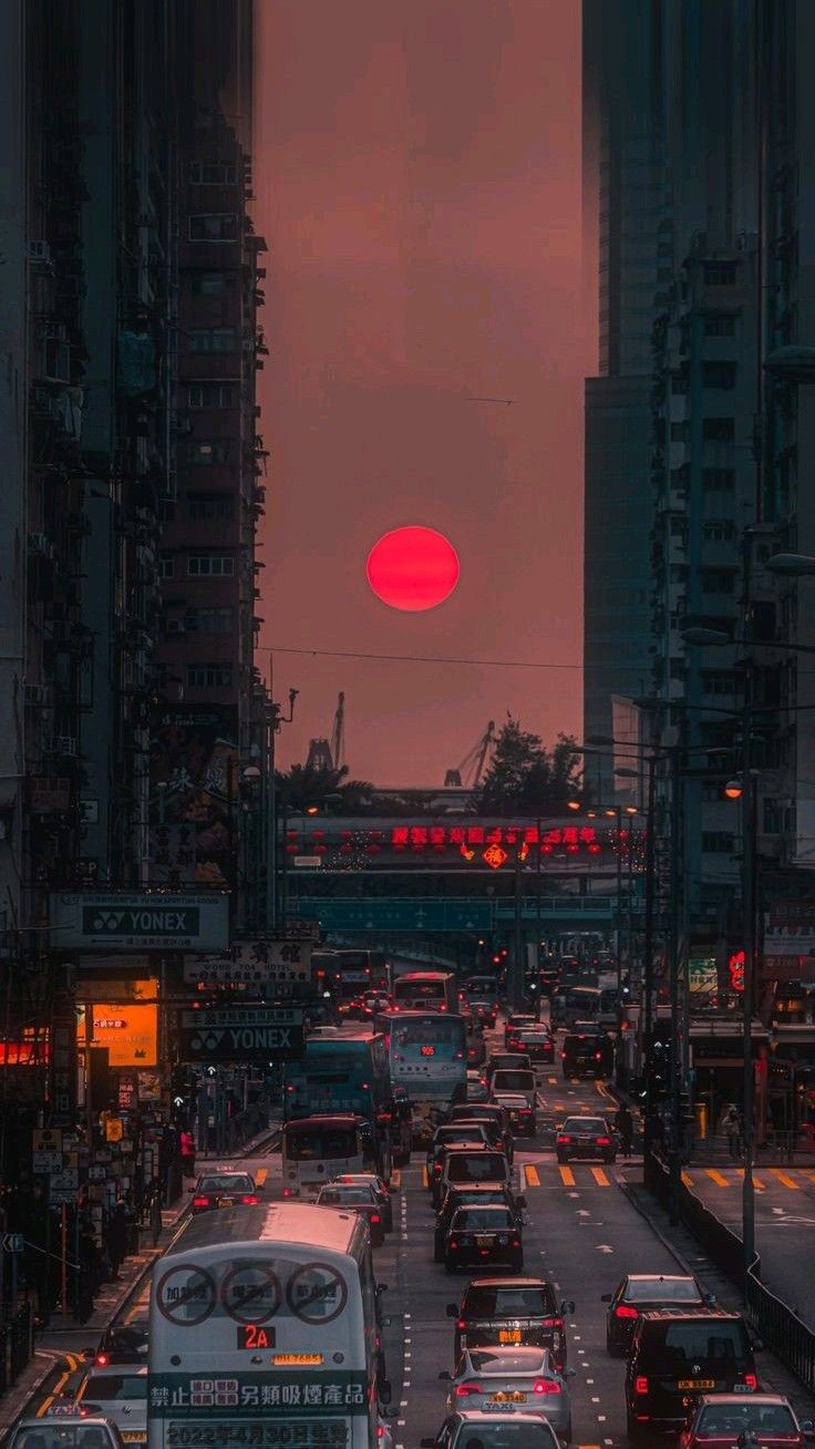 Foto do usuário